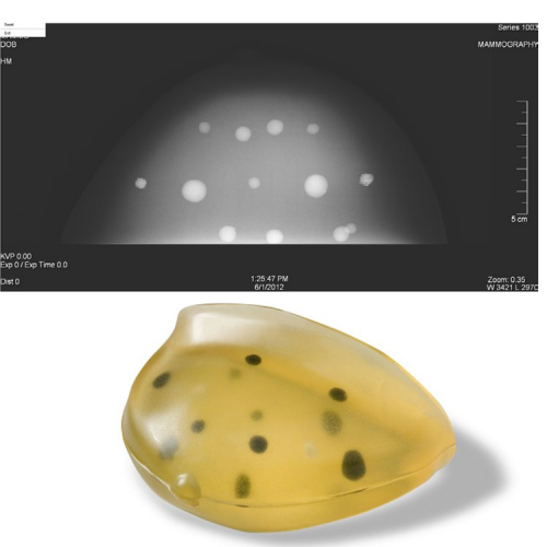 CIRS 013乳腺体模